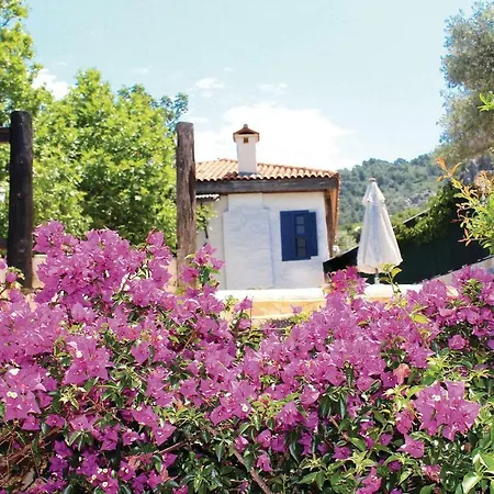Villa Uezuemevi